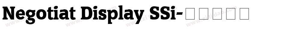 Negotiat Display SSi字体转换